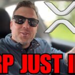 🚨 JUST IN! Ripple XRP NEWS! (This week)