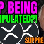 XRP HOLDERS! IS THE PRICE OF XRP REALLY BEING SUPPRESSED?!
