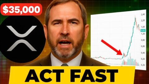 XRP Holders This is Crazy...