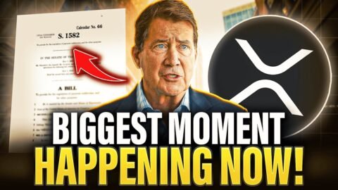 BIGGEST MOMENT For XRP & Crypto Happening Now | Every Single Bank!